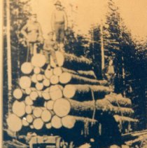 Cable Railways Brings Logs