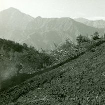 Amount of Brush Removed by Ball and Chain Operation