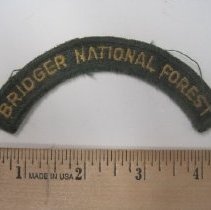 Bridger National Forest