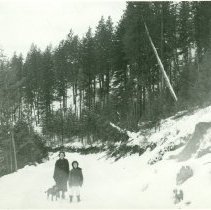 Finch Family Enjoying Winter Recreation
