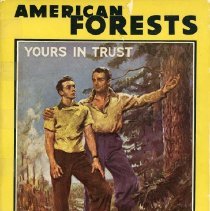 American Forests