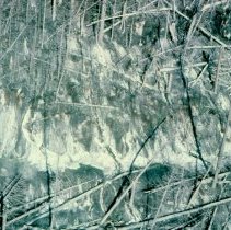 Aerial View of Stream