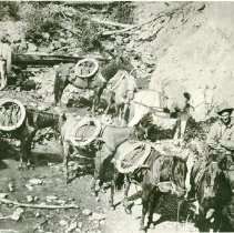 Big Ed Bill Wech with Pack String