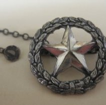 AWS Star Pin for Volunteer Observers