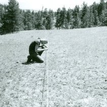 Dave Filius Reading Range Transect