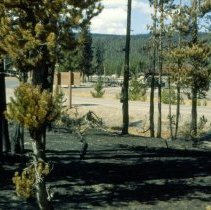 Burn Area Next to Administratice Site