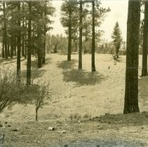 Area Grazed 30 Years Prior to 1898