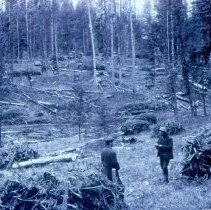 Forest Supervisor David Kinney and Forest Officer E. S. Bruce,