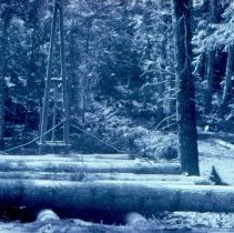 A-Frame Loading Logs with Crotch Line