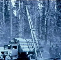 A-Frame Loading Logs with Crotch Line on Truck