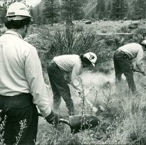 After Repelling, Firefighters Build Fireline