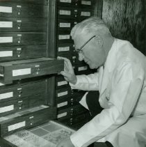 Forest Insect Collection