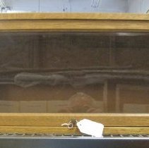 Book Case with Single Glass Door