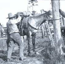 2022.7.08a 1931-1932&1937-negative002