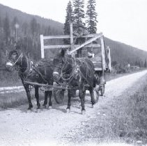 Angus MacDonald Driving Wagon