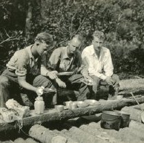 Kron, H. Berger and Gafvert Packing for Trip