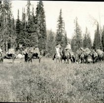 Al Schwarz and Harold McGee