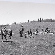 Rio Grande Forest Crooked Creek Range Inspection 1941