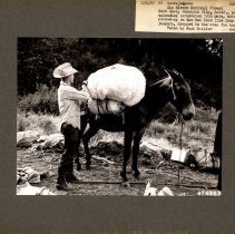 Bert Enos Packer Unloading Parachutes from Mule