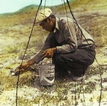 CCC Enrollee Placing Poison