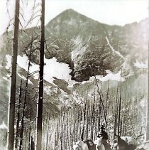 Karl Gilbert, District Ranger in Old Burn Area