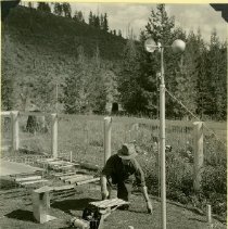 Anemo-hygrograph Records Moisture of Duff Layer and Fuel Sticks