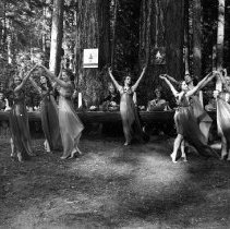 4000 Gifts of the Forest