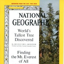 World's Tallest Tree Discovered