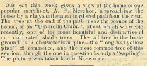 1902_Courier_Page_186