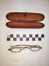Spectacles and case