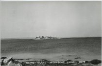 Basket Island -- Biddeford, Maine  D479