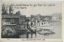 You Don't Have to Go Far to Catch Fish here, near Biddeford Pool