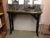 Atlantic Shoreline Railway