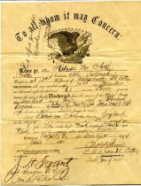 [McArthur family papers]