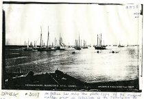 Herring fleet, Biddeford Pool #3017