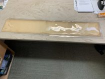 43rd Company, 151st Depot Brigade