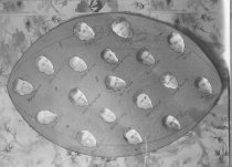 1930 CCHS Football Team