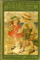 Bunny Brown at Aunt Lu's City Home