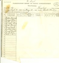 Classification Report To County Superintendent: Term Summary