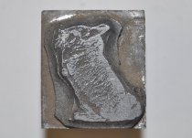Rabbit printing block