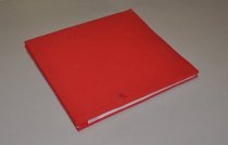 Jerry Morel's IFYE Scrapbook