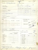 Preliminary Fire Report