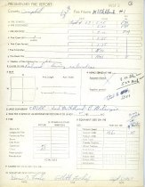 Preliminary Fire Report