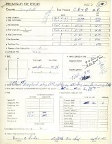 Preliminary Fire Report