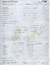 Preliminary Fire Report