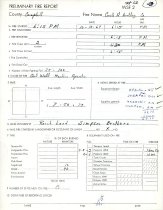 Preliminary Fire Report