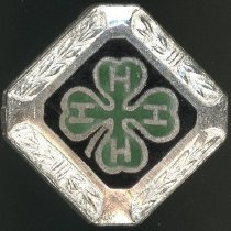 Pin, Membership (front)