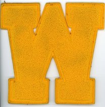 Patch, Membership (front)