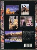 Book (back, book jacket)