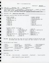 Report (page 16, site form)